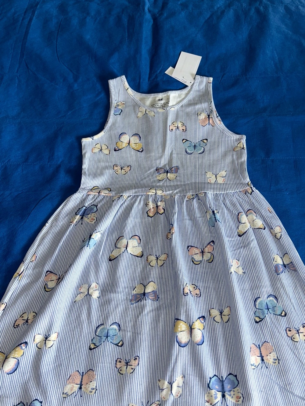 H&M Blue and White Striped Butterfly Sleeveless Dress